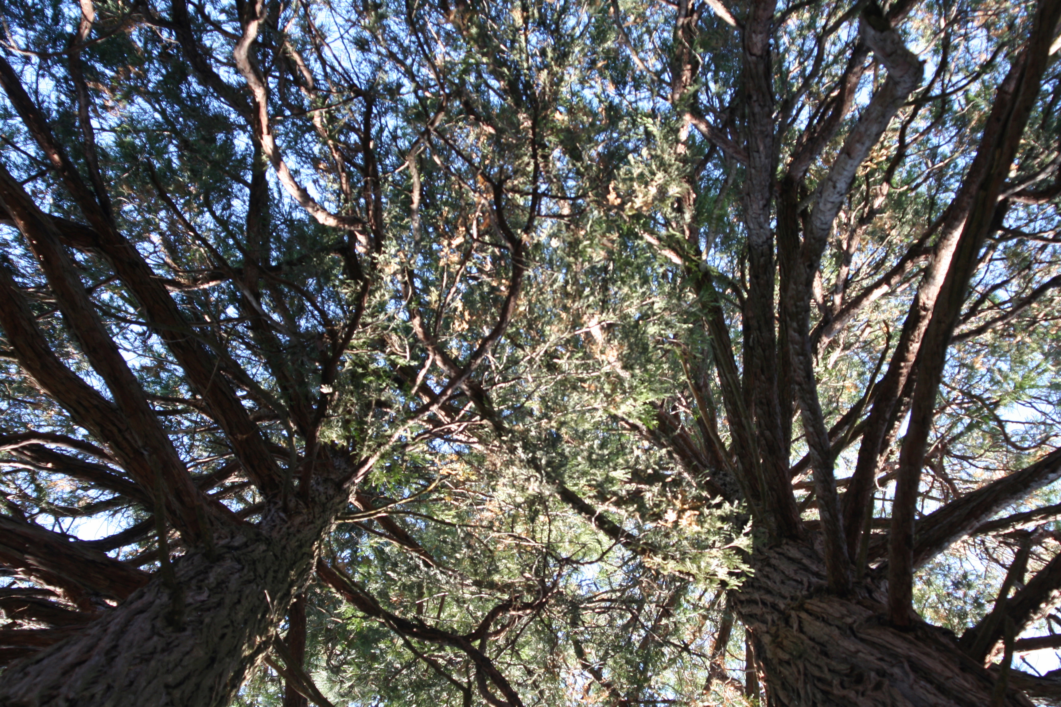 photo by Jacob Slotter